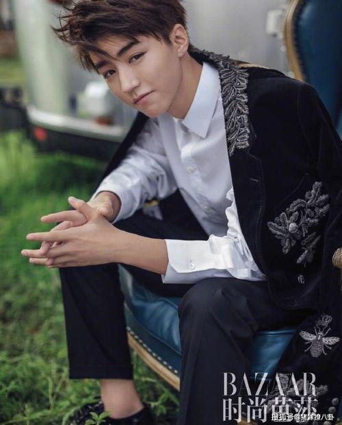 娱乐圈爆料王俊凯,娱乐圈爆料王,揭秘明星幕后故事 第3张 娱乐圈爆料王俊凯,娱乐圈爆料王,揭秘明星幕后故事 第3张