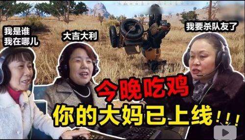 老炮北京边哥爆料视频播放,一场引人入胜的京城风云